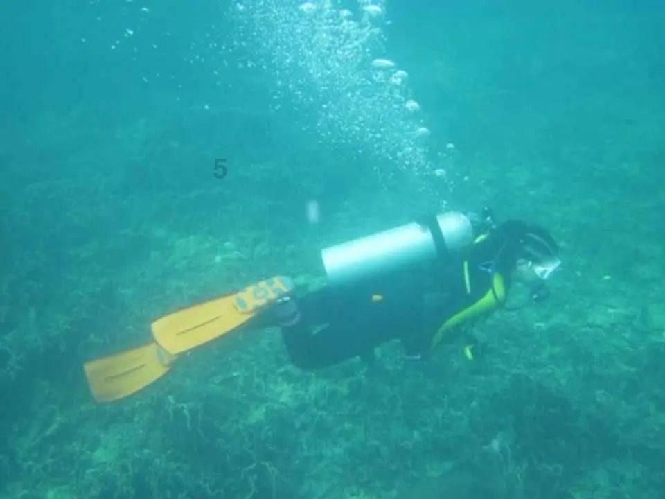 测测你的古代名字2